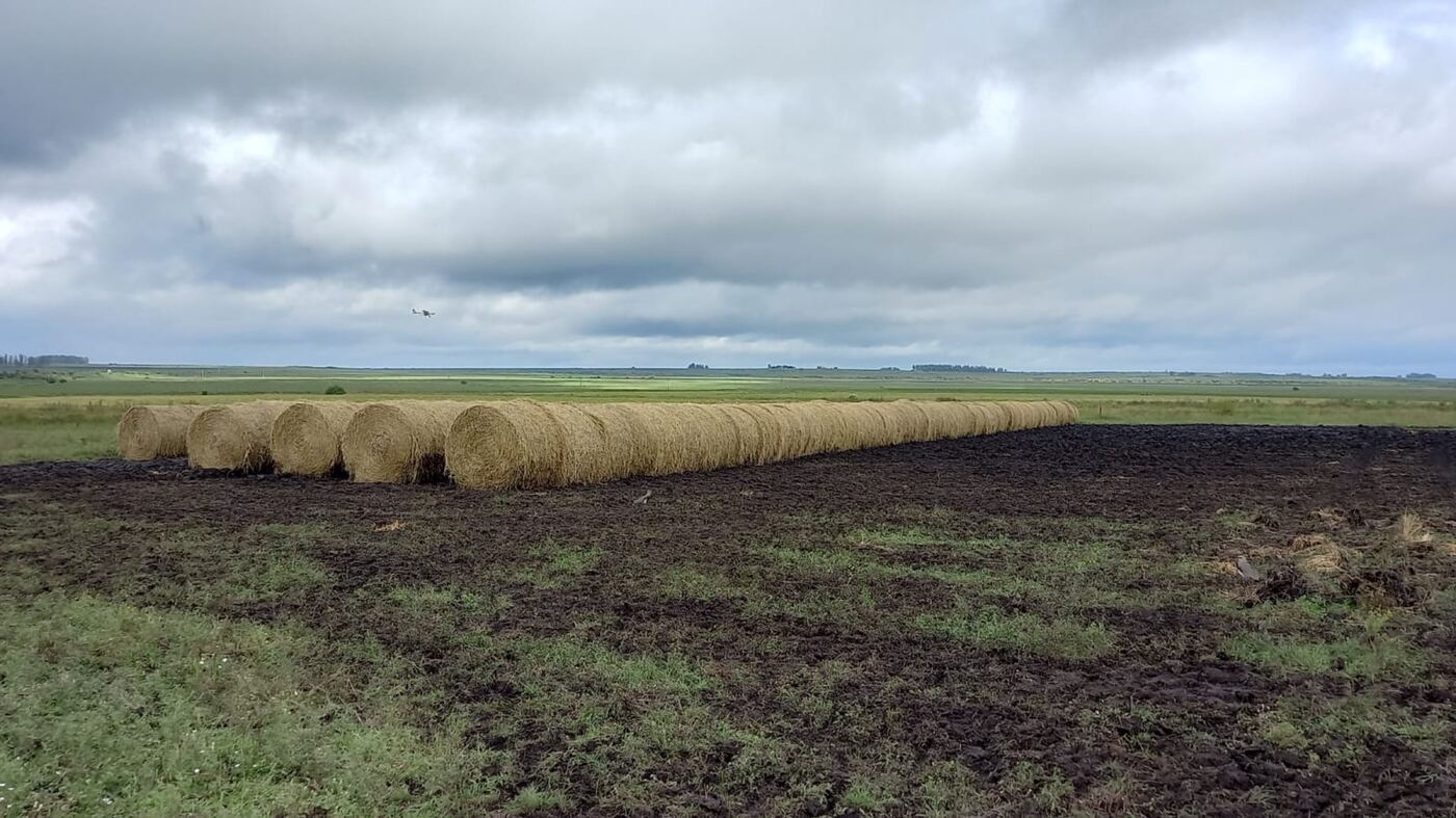 Fardos na área de lavoura após a colheita