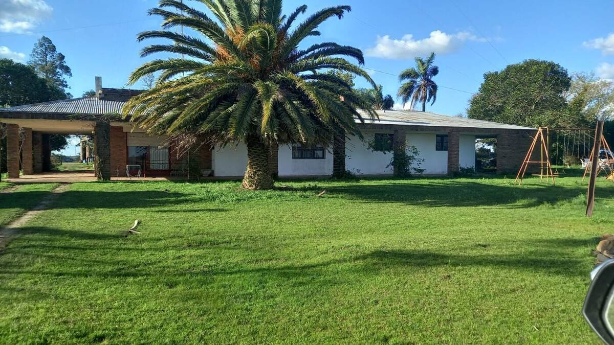 Sede da Estância El Rincón com palmeira em frente